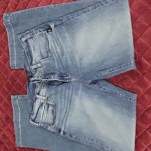 Silver Jeans Women's Straight Leg in Light Blue